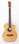 Гитара иной формы Caraya F560C