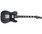 Электрогитара Schecter PT EX Dorian Gray