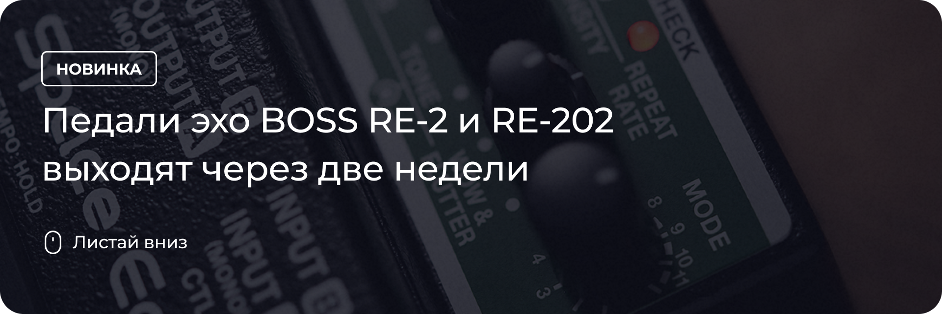 Выходят педали эхо BOSS RE-2 и RE-202