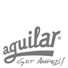 Новый басовый кабинет SL 210 от Aguilar Amplification