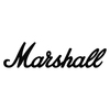 20-ваттная голова Marshall Studio Vintage SV20H