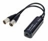 Dante AVIO Analog Output Adapter 0x2