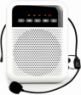 LAudio WS-VA030-Pro