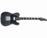 Schecter PT EX Dorian Gray